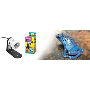 Arcadia ADCHX Keramik Schraubfassung