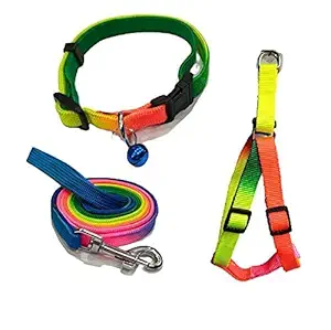 Dog Trust Colourful Adjustable Nylon Puppy Leash Harness and Collar Combo, Suitable for Puppy 15 mm Multicolor (Collar + Harness + Leash) 05