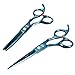 KING DO WAY Professional Salon Hair Cutting+Thinning Scissors Barber Shears Hairdressing Set Hair Tools Blue
