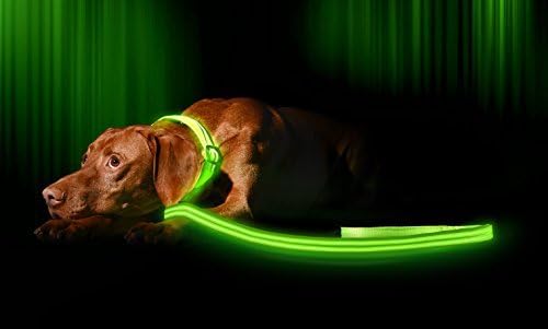 LED Dog Lead / Leash - USB Rechargeable - Your Dog Will Be More Visible & Safe - 6 Colors (Red, Blue, Green, Pink, Orange & Yellow) - Perfect To Use With Our Matching Collar (6 ft / 180 cm, Green)
