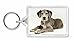 Produktbild Deutsche Dogge Foto Schlüsselbund TierstrumpffüllerGeschenk