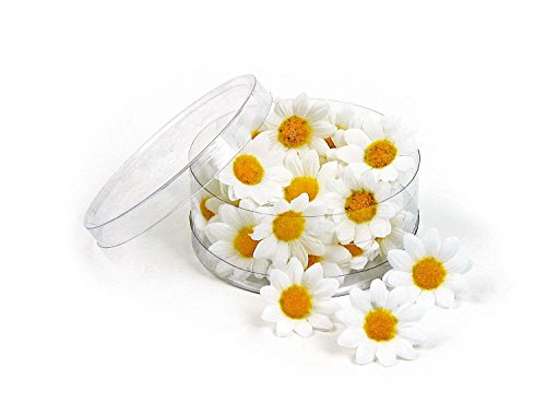 24 VBS Margerittenblüten Box 3,5 cm Dekoblüten Streudeko Hochzeit Tischdeko
