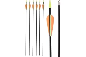 NIKA ARCHERY Glasfiberpilar 76 cm för Recurve Compound-båge 6 | Glasfiberskaft, 7 mm OD, bullet point, 3-tums TPU-vanes, plastnock, upp till 20,4 kg, hållbar för recurve/compound