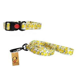 Foodie Puppies Adjustable Satin Webbing Collar&Leash Set with Safety Buckle for Dogs (Lemon, 20mm)