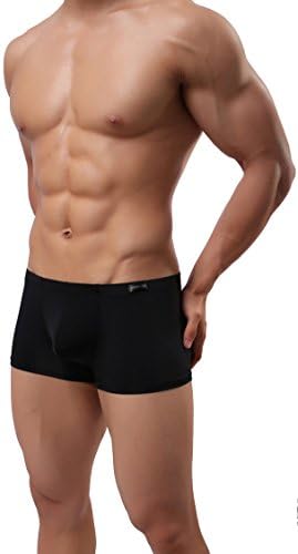 QQKing Men's Bikini Underwear, Mesh Transparent Boxers Bulge Comfy Underwear