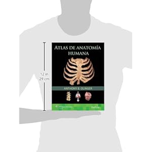 Atlas de anatomia humana