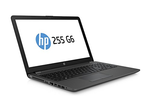HP Windows 10 15 6  Laptop  4GB 1TB Hard Drive DVD Drive Wi-Fi Bluetooth USB 3 1  with Microsoft Office 365   Internet Security   Wireless Mouse   Lap