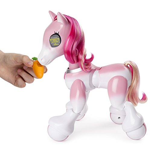 41gUAZkQPgL Zoomer - 6036997 - Pony