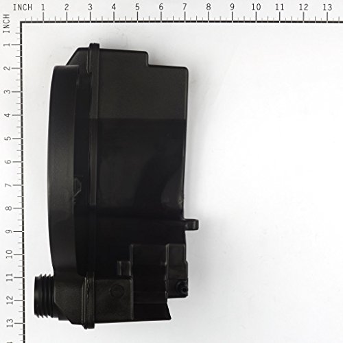 Briggs & Stratton 699374 Benzintank - 3