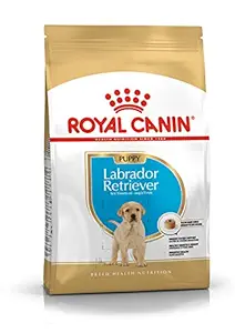 Royal Canin Labrador Retriever Puppy, 1000 g