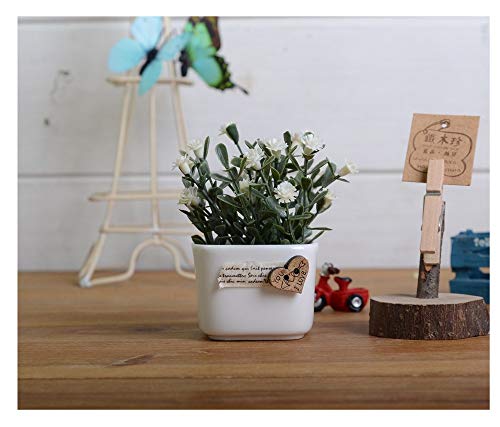 Artificial Flowers Simulated Potted Flowers Potted Flowers Indoor Potted Plants Korean Potted Ceramic Small White Cup White