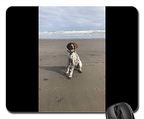 Mouse Pads - GSP German Short Haired Pointer Puppy Hunter Gun