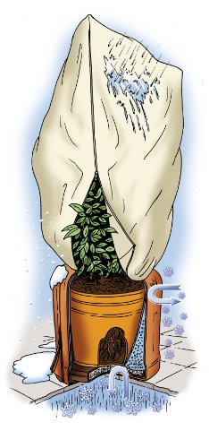 Bio Green Winterschutz Kübelpflanzensack, beige, super Stark , XXL 180 x 120 cm - 5