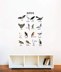 Decal O Decal Vinyl  Birds with Names for Kids Learning  Kids Nursery Wall Stickers, Multicolour