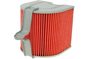 VICMA Luftfilter Einsatz für Honda Helix CN 250 Fusion Spazio MF02-99