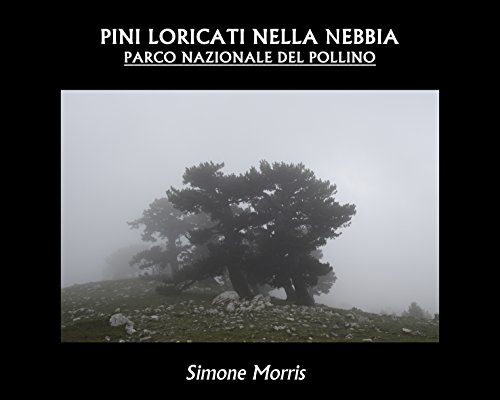 Pini Loricati nella nebbia: Parco Nazionale del Pollino libro