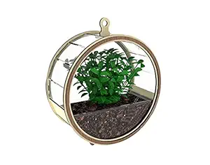Ad Fresh Hanging Planter Pot Round Geometric Succulent Plants Pot Decorative Wall Mounted Flower Pot Set with Glass for Air Plants