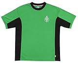 Colección oficial AS saint-etienne.