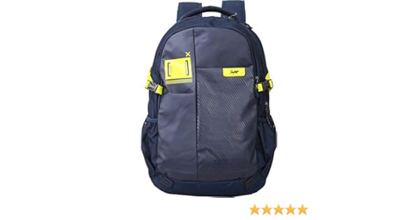 skybags xylo laptop backpack