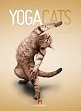 Image de Yoga Cats 2014