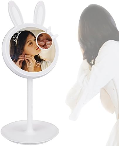 LEDGOO 2-in-1 Makeup Mirror Table Lamp and Jewelery Cosmetics organizer,Touch Switch and Dimmable Light with 55 bright leds for Room Dresser Table Travel