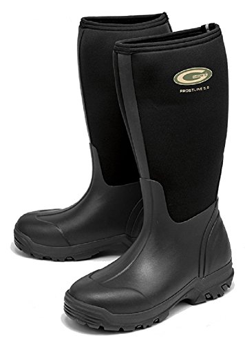 « Click to Enlarge and to go to Amazon »