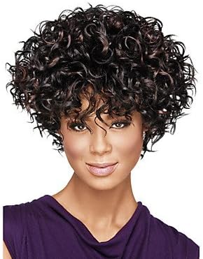 OSY Capless Short Afro Kinky Fluffy Synthetic Wigs for Women Ombre Dark Brown Heat Resistant with Free Hair Net , dark brown