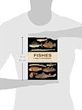 Image de Fishes: A Guide to Their Diversity