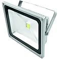 Eurolite 51914580 IP FL-50 COB LED FARETTO (6400 K)
