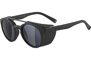 ALPINA Unisex Glace sunglasses (pack of 1)