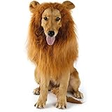 YKS Löwe Mähne Perücke für Hunde Liebenswürdig, PET Hat Katze Hund Kleid bis mit Ohren Funny Katze Hund Little Puppy Kostüm (mit Ohr)