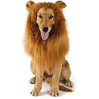 YKS Löwe Mähne Perücke für Hunde Liebenswürdig, PET Hat Katze Hund Kleid bis mit Ohren Funny Katze Hund Little Puppy Kostüm (mit Ohr)