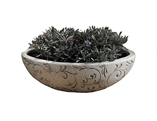 Pflanz-Schale "Ranken"