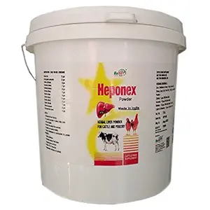 REFIT ANIMAL CARE Herbal Liver Care Powder for Cattle & Poultry, 5 Kg, Heponex