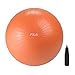 Price comparison product image FILA Stability Ball with Pump, 65cm
