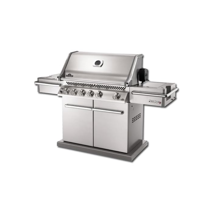 Napoleon Gartengrill Gas Pro600rsib Gasgrill Grillkamin Gartenkamin