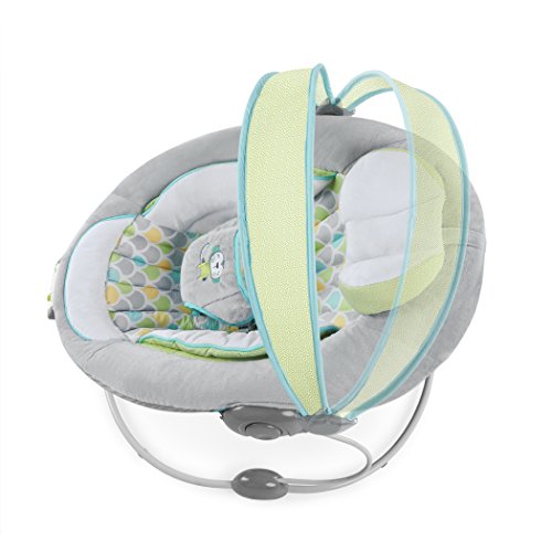 Ingenuity 60389 Soothe and Delight Bouncer – Savvy Safari - 7