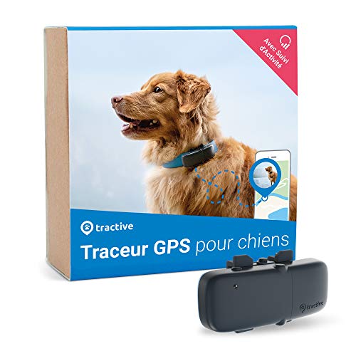 Dernier modèle Tractive traceur GPS chien - Collier GPS pour chien avec suivi d'activité - léger et étanche avec porté illimitée