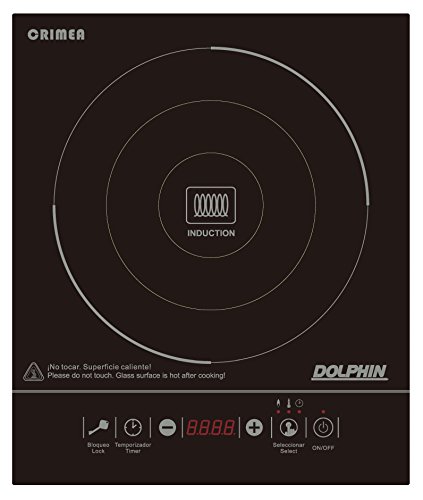Preisvergleich Produktbild Dolphin dpli1 F2000 Herdplatten-Induktion 3 in 1