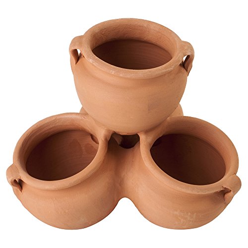 FANSA MACETA DE BARRO PARA CACTUS, 29CM
