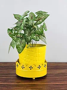 Go Hooked Metal Planter with Metal Stand for Living Room Bedroom Display Window Porch (Yellow, Pack of 1)(Flowers Not Included)