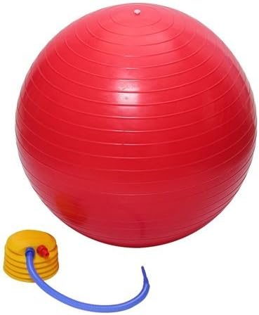 Gym Ball, Yoga, Pregnancy Swiss Ball, Aerobic Execrise Core Muscle Strength 65cm Red, Blue, Purple, Green. Grey (Red)