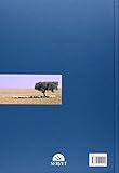 Image de Atlas of ovine pathology