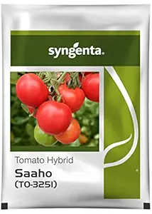 Syngenta Saaho (TO-3251) Hybrid Tomato seeds, 3500SD packing