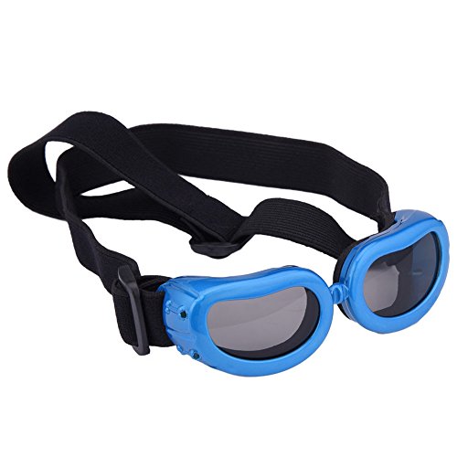 Outdoor Dog Sunglasses Anti-UV Eye Protection Goggles Waterproof Windproof Anti-Fog for Small Pet Puppy Dog Cat (Blue)