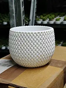 CAPPL Plastic Fiber Planters (for Houseplants) (White, 18 cm, 18 Pots) for Home, Desk, & Garden Decor