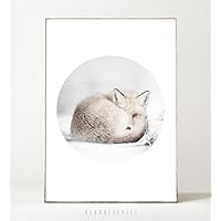 Kunstdruck / Poster WINTERSCHLAF -ungerahmt- Fuchs, Schnee, Winter, Kreis, Natur, geometrisch, skandinavisch, nordisch