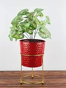 Go Hooked Metal Planter with Metal Stand for Living Room Bedroom Display Window Porch (Golden & Red, Pack of 1)(Flowers Not Included)