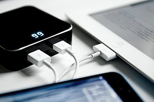 ednet 31891 Power Bank mit LED-Display, Kapazität: 7.800 mAh, 2x USB Port ( 1A + 2,1A) + Micro USB, kompakte Größe, schwarz - 2