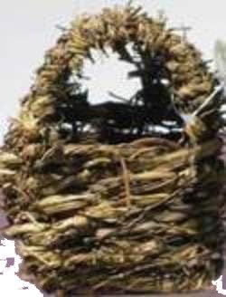 Finch Twig Covered Nest